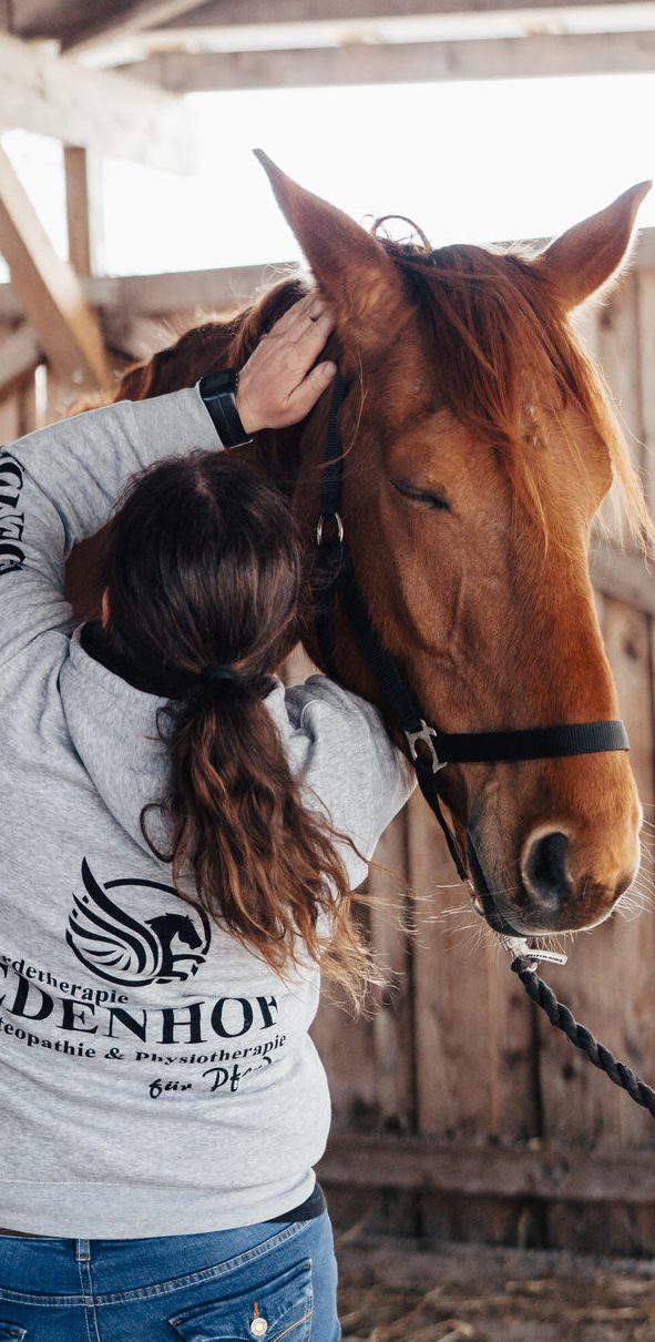 Pferdephysio Ostfriesland Eine Person streichelt das Pferd in einem Stall, beide fokussiert und entspannt.